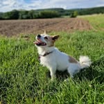 Melvin roel - @melvin.roel - Instagram