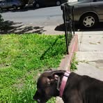 Melvin Rutherford - Facebook