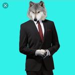 Melvin Samuelsson - @samuelssonmelvin - Instagram