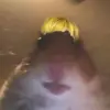 Melvin Schulze - @melvinschulze6 - TikTok
