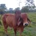 Melvin Sinclair - Facebook