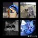 Melvin Sosa - Facebook