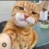 Melvin Sosa - @melvin.sosa49 - TikTok