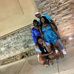 Melvin Springer - Facebook