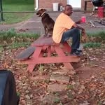Melvin Stevens - @melvinstevens33 - Instagram