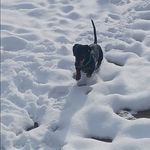 Melvin Strong - @melvinstrong2yearsold - Instagram