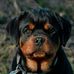 Melvin Stroud - Facebook