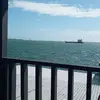 Melvin Tucker - @melvin.tucker3 - TikTok