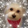 melvinupton - @melvinupton - TikTok