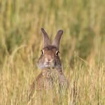 Mel Vickers - @melvickersphotography - Instagram