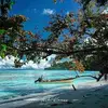 MELVIN WEIRAU - @melvin.weirau - TikTok