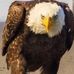 Melvin Whitmore - Facebook