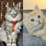 Melvin & Winnie - @melvin_and_winnie - Instagram