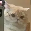 melvin wu - @smh.melvinwu - TikTok