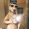 Melvin Yanes - @melvin.yanes89 - TikTok