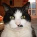 Melvyn Green - Facebook