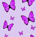 Mely Lopez - Facebook