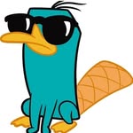 Perry_el_ornitorrinco - @perry_el_ornitorrinco_fan.meme - Instagram
