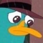 Perry’s Meme Account - @perry_the_memeapus - Instagram