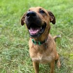 Memphis Jones - @memphis_jones04 - Instagram