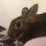 Memphis Jones - @memphis_jones_2007 - Instagram