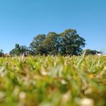 Memphis Jones - @memphis7370 - Instagram