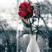 Mena Awad - Facebook