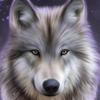 Mena_Wolf 🐺 - @mena_wolf - TikTok