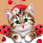 menaka.ravi - @menaka_ravi20 - Instagram