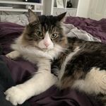 Mendy Wright - @wright.mendy - Instagram
