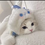 Meng Chan Bory - @meng_chan_bory - Instagram
