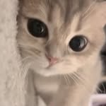 mengchan - @miinn.g_ - Instagram