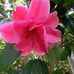 Meng Fu Yang - Facebook