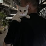 蔡孟甫 - @mengfu_c - Instagram