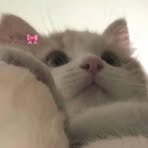 Meng Ting - Facebook