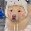 Meng Ting - @meng.ting7 - TikTok