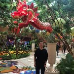 Mengde Wang - @mengdewang - Instagram
