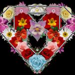 Merab Martinez Herrera - @mreadme - Instagram
