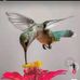 Merari Hernandez - Facebook