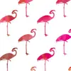 Merari Hernandez Ram - @merari_hernandez1 - TikTok