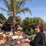 Merced Hernández - @merced.hernandez.96387 - Instagram