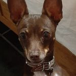 Merced Hernandez - @merced5921 - Instagram