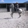 Merced Hernandez Ochoa - @merced.hernandez72 - TikTok