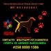 Esal Fundacion mercedez PEREZ HOGAR canino - Facebook