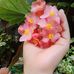 Mercy Robles - Facebook