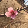 Meredith Ashley - @meredith_ashley_ - TikTok