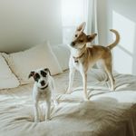 Meredith Washburn - @meredithwashburn - Instagram