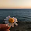meredith_bello - @meredithbello - TikTok