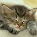 Meredith Barbour DeGregorio - Facebook