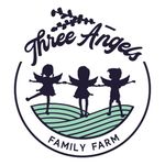 Meredith Barnes - @threeangelsfamillyfarm - Instagram